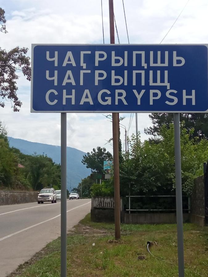 Гостевой Дом Мимоза Гагра Экстерьер фото